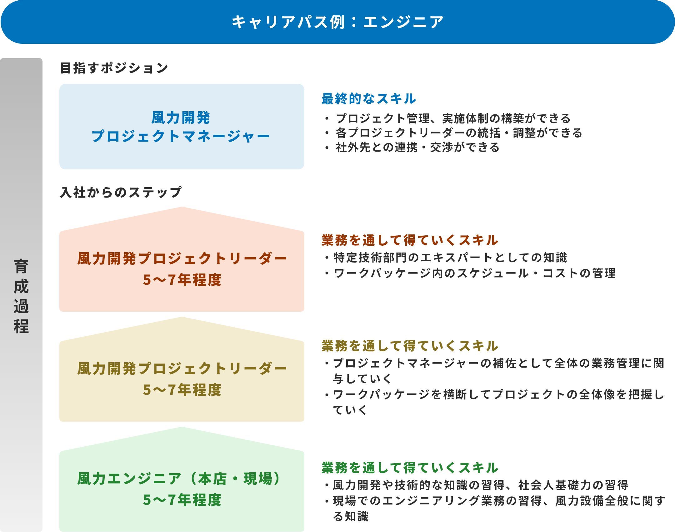 キャリアパス例：エンジニア