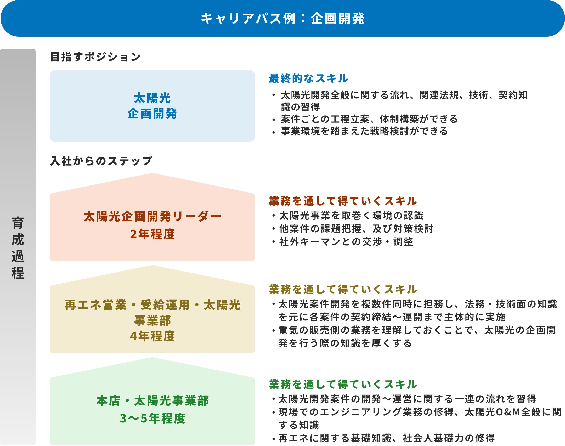 キャリアパス例：企画開発