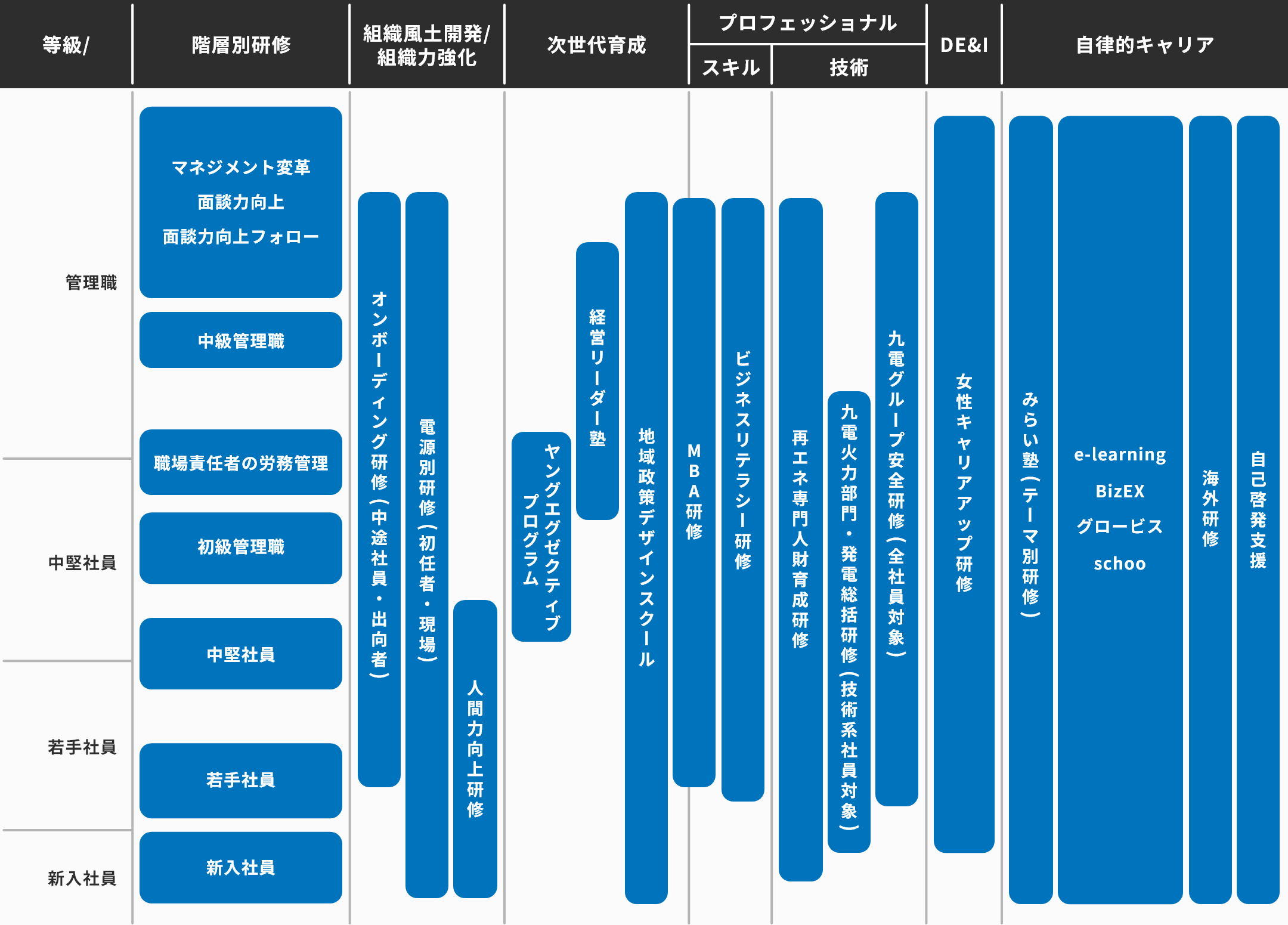 教育体系図・研修制度