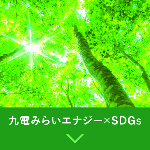 九電みらいエナジー×SDGs